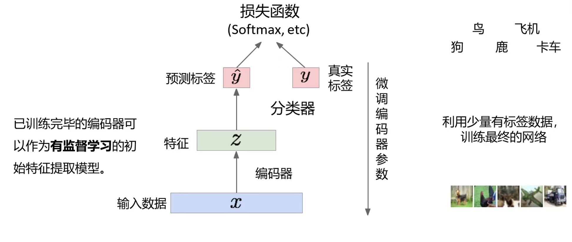 image-20240319014914138